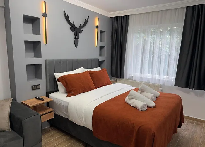 Cenova 2* Istanbulská provincie