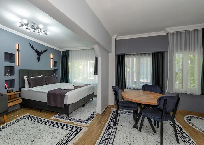 Hotel Cenova Istanbulská provincie