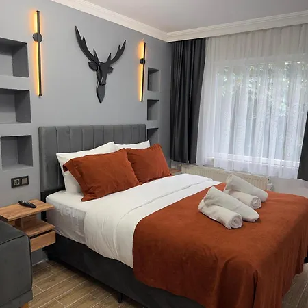 Cenova 2* Provincia di Istanbul